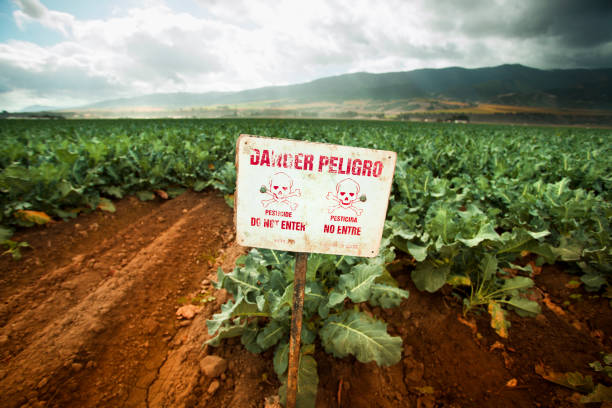 Pesticide warning sign on fertile farm land "Poison pest control chemicals sprayed on a  field in the Salinas Valley, California USA" insecticide photos stock pictures, royalty-free photos & images