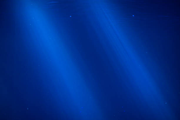 istock Rays of light deep into the marine sea 175419457