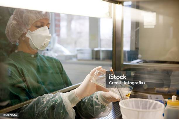 Hembra Investigador En Un Laboratorio En Un Banco De Trabajo Foto de stock y más banco de imágenes de Asistencia sanitaria y medicina