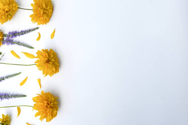 istock Composition of flowers. Frame folded from yellow flowers (Rudbeckia Laciniata). 1754197543