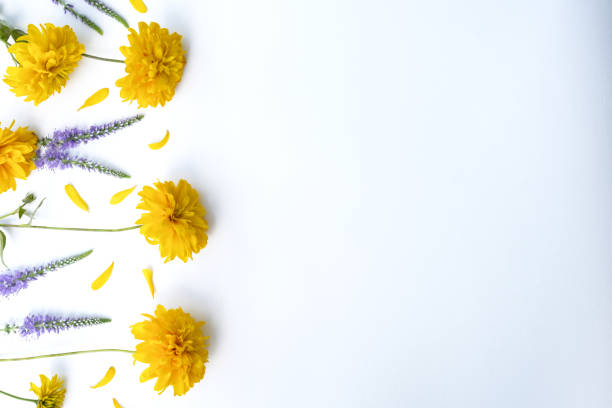 istock Composition of flowers. Frame folded from yellow flowers (Rudbeckia Laciniata). 1754197560