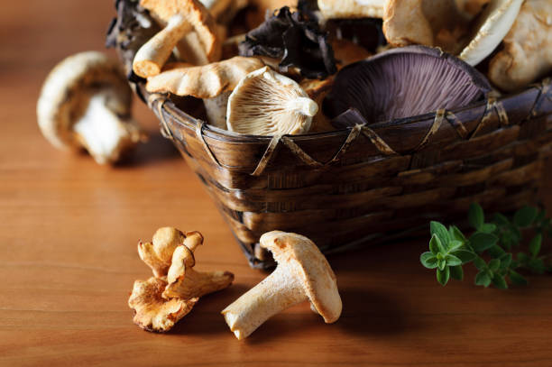 cesta de cogumelos selvagens - chanterelle edible mushroom gourmet uncultivated - fotografias e filmes do acervo