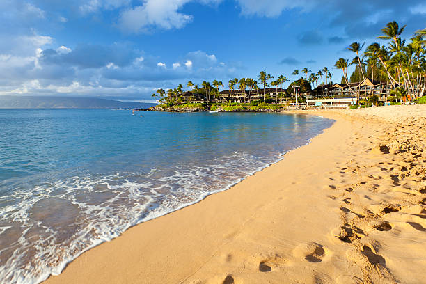 napili bay, maui - napili bay zdjęcia i obrazy z banku zdjęć