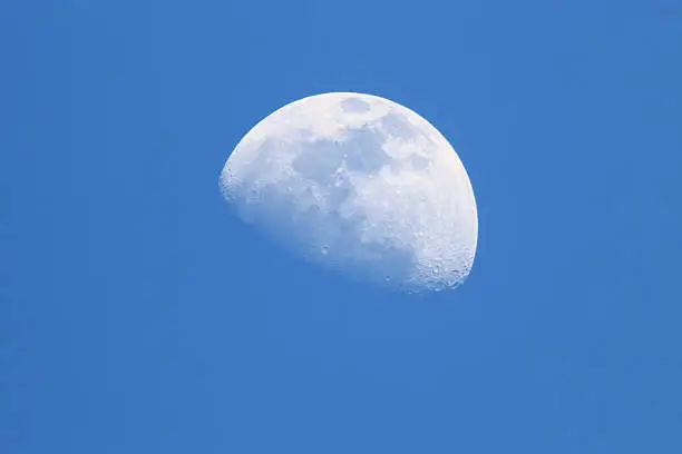 Photo of Blue Moon