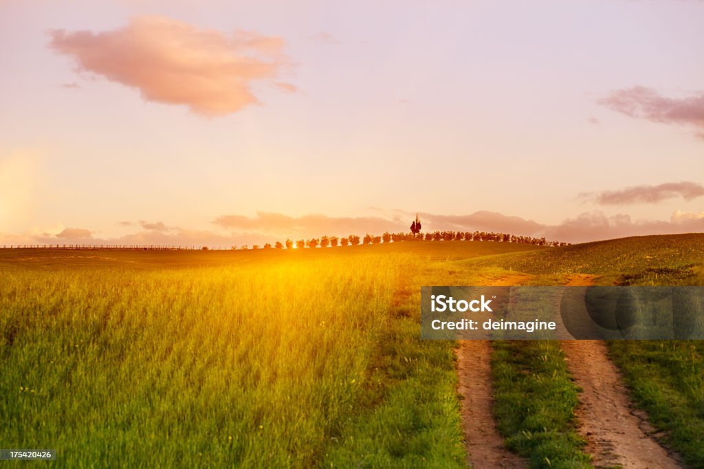 Tramonto sulle colline toscane - Foto stock royalty-free di Agricoltura