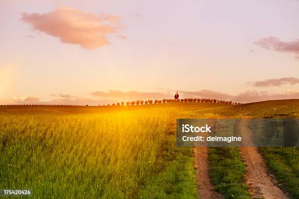 Tramonto Sulle Colline Toscane - Fotografie stock e altre immagini di Agricoltura - Agricoltura, Albero, Ambientazione esterna