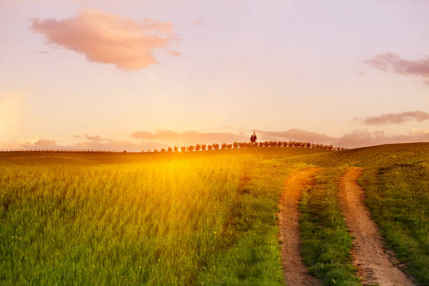 istock Sunset over the Tuscan hills 175420426