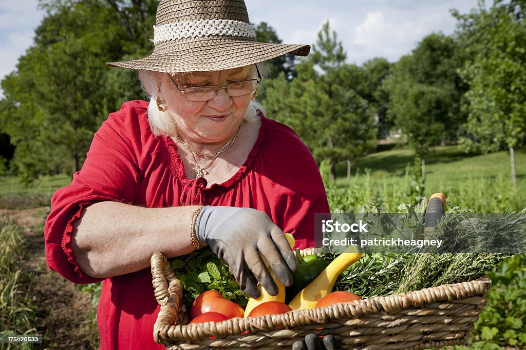 Senior mujer en un jardín inspección de productos - Foto de stock de 60-69 años libre de derechos