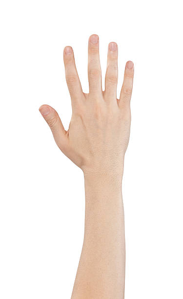 Hand holding out five fingers isolated on a white background