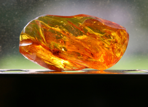 Large piece of polished amberCheck Amber Lightbox