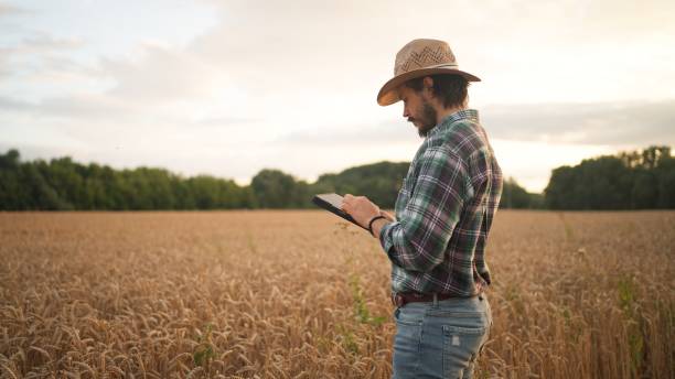 istock Bearded man in checkered shirt and hat browsing tablet while checking cereal crops 1754211793