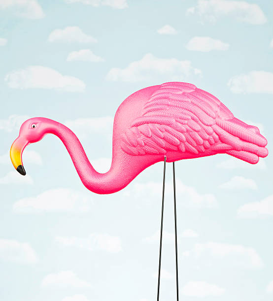 istock Male Pink Flamingo Against Sky 175421189