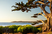 istock Colorful beachfront in Carmel-by-the-Sea 175421482