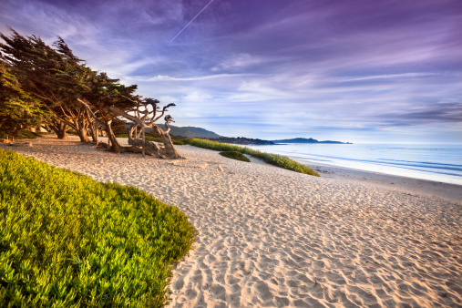 Sand beach by the Pacific Ocean coastline in Carmel California near Monterey