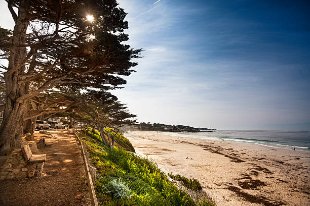 istock Carmel Beach in Carmel-by-the-Sea 175421573
