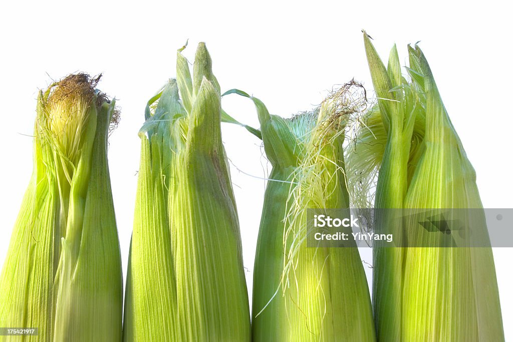 Maiskolben mit weißem Hintergrund - Lizenzfrei Mais - Gemüse Stock-Foto