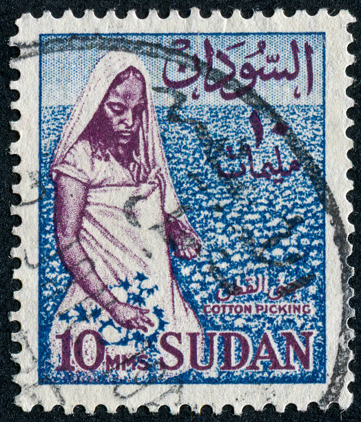 istock Sudanese Woman Picking Cotton Stamp 175422061
