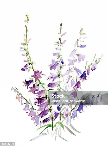 Watercolor Stock Illustration - Download Image Now - Flower, Watercolor Painting, Purple