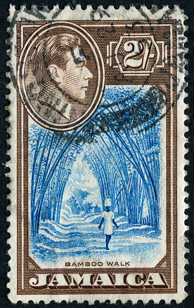jamaica bambu caminhada stamp - mail postage stamp postmark jamaica - fotografias e filmes do acervo