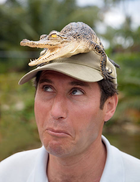 little bird told me... A man with baby crocodil on his head. crocodile photos stock pictures, royalty-free photos & images