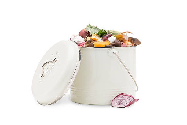 kitchen compost pail stock photo