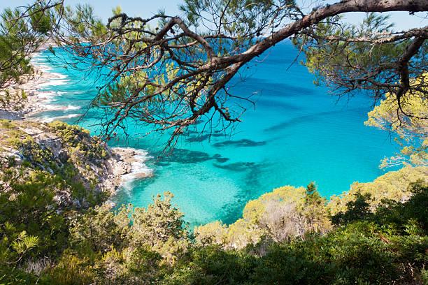 mediterrane stränden. - insel formentera stock-fotos und bilder