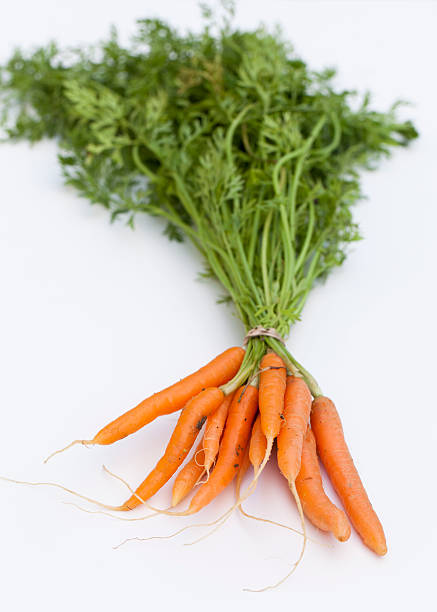 organiczne baby carrots - carrot isolated bunch baby carrot zdjęcia i obrazy z banku zdjęć