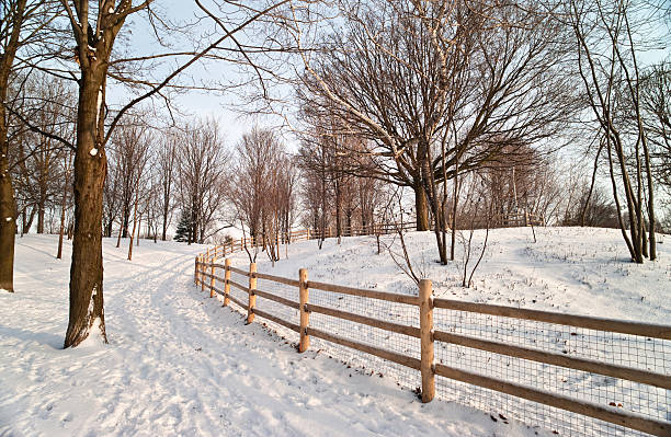 istock Winter in Ontario 175423456
