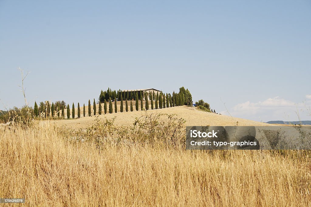 Toscana in estate - Foto stock royalty-free di Agricoltura
