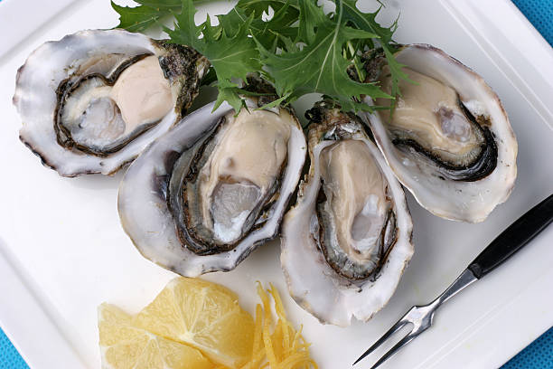 カキ、レモンスターター - prepared oysters prepared shellfish shucked seafood ストッ��クフォトと画像