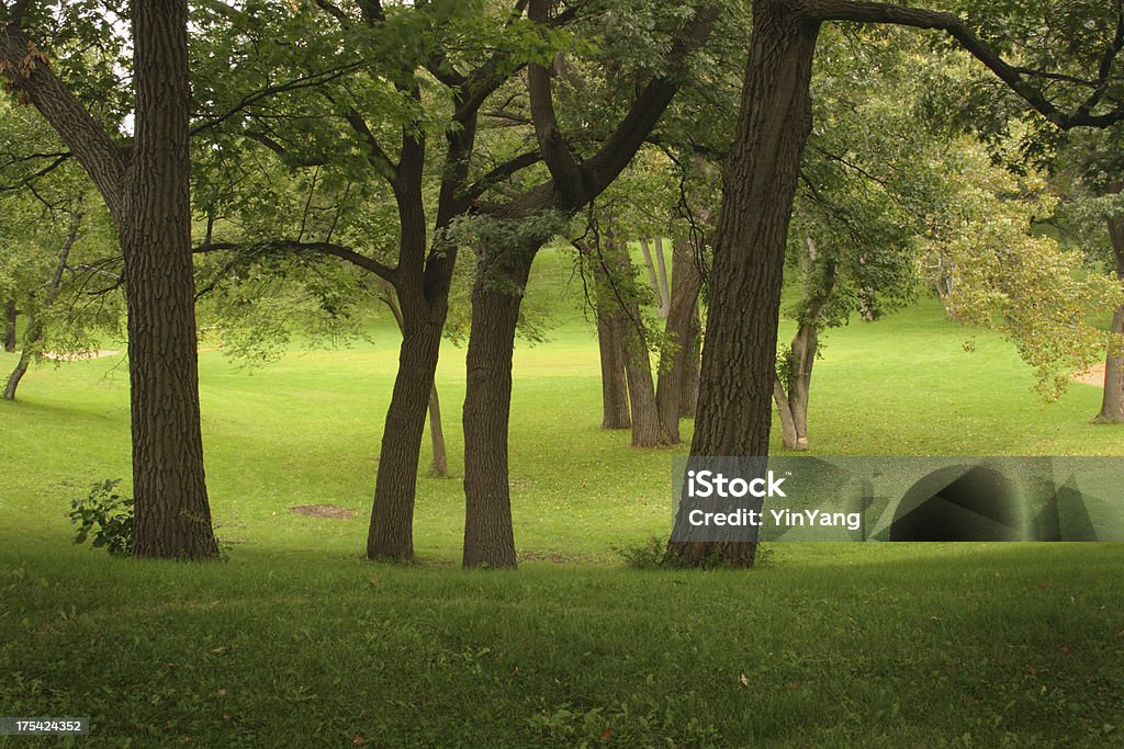 Wooded Park Subject: A peaceful wooded park Concepts Stock Photo