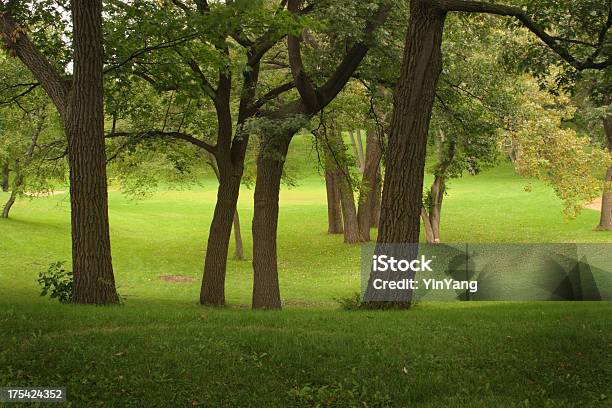 Wooded Park Stock Photo - Download Image Now - Concepts, Deciduous Tree, Emotion