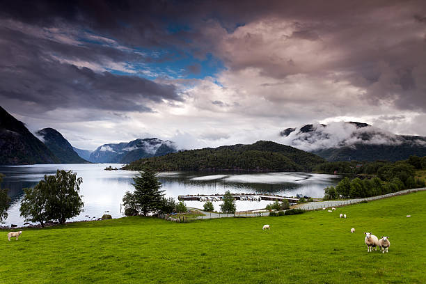 Dramatic cloudscape over the sea Ovre Tysdalsvatnet near Ardal in Norway. Region Hjelmeland.Taken with Canon EOS 5D Mark 2 / 17-40L