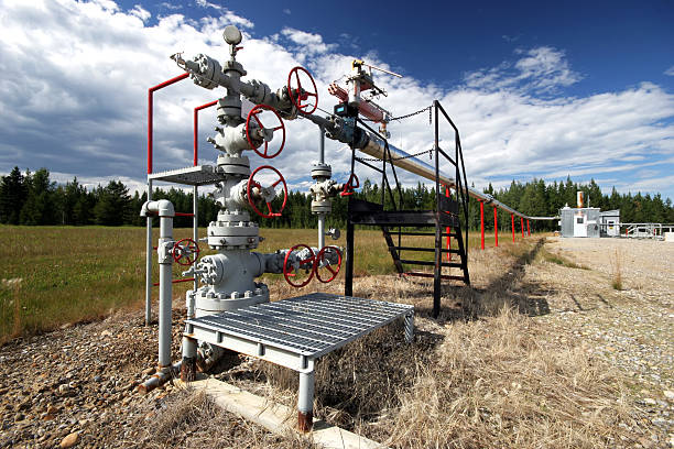 Wellhead Oilfield lease.To view my other Oil Industry related images oil wellhead stock pictures, royalty-free photos & images