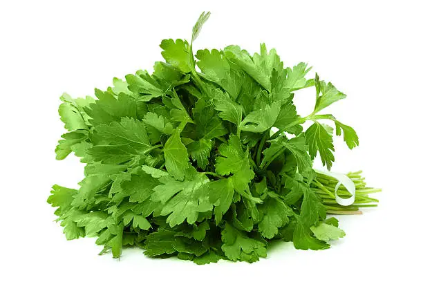 Bunch of ripe parsley isolated on white background