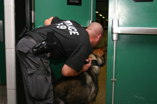 Police K-9 Officer and his dog prepare to enter a school to search for a suspect