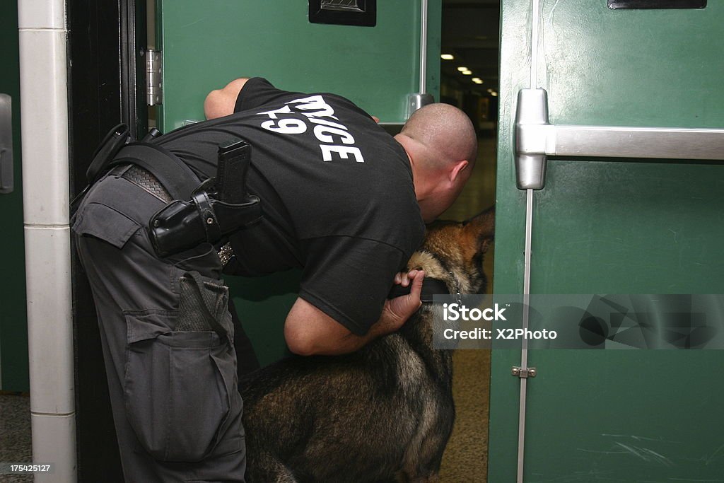 Polícia K-9 procura suspeito - Foto de stock de Força Policial royalty-free