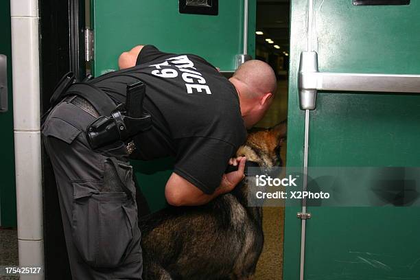 Foto de Polícia K9 Procura Suspeito e mais fotos de stock de Força Policial - Força Policial, Escola, Arma de Fogo