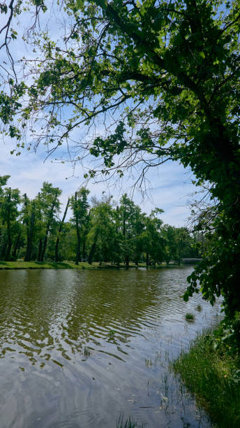 istock the river in the park overflowed its banks 1754252589