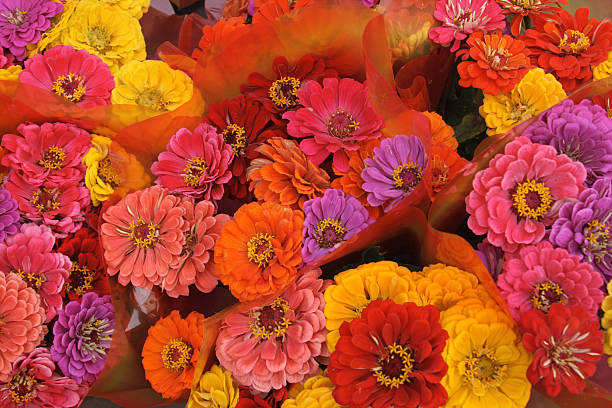istock Bouquet of Flowers 175425385