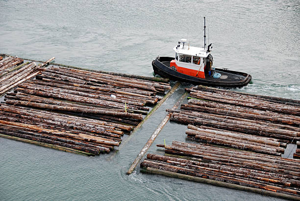 Tugboat guiding log rafts to sawmill on river