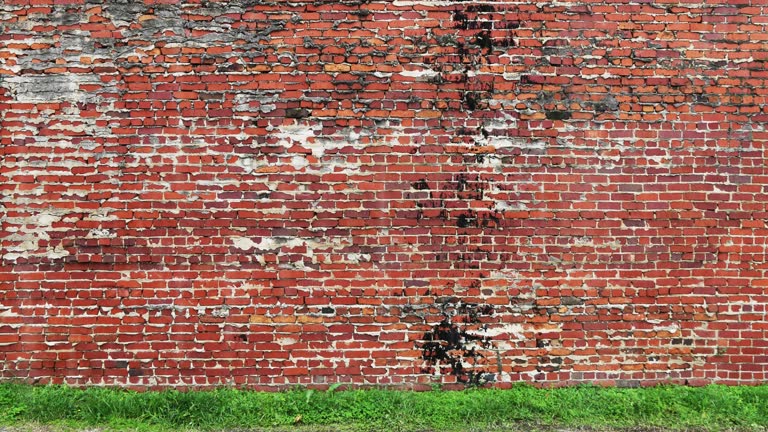 rainy day brick wall wet grass weather exterior house rain motion loop video