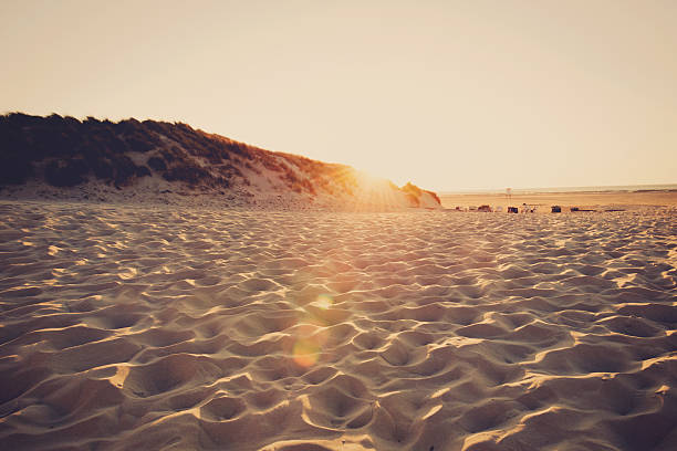 paisaje de playa - amrum summer spring island fotografías e imágenes de stock