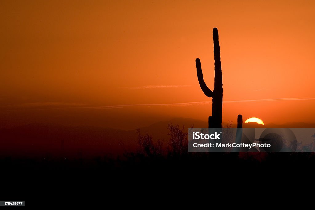 Cato no Arizona ao pôr do sol - Royalty-free Pôr-do-sol Foto de stock