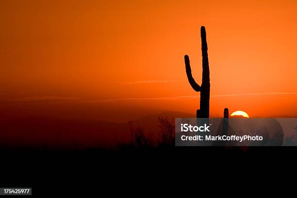 Cato No Arizona Ao Pôr Do Sol - Fotografias de stock e mais imagens de Pôr-do-sol - Pôr-do-sol, Ambiente dramático, Anoitecer