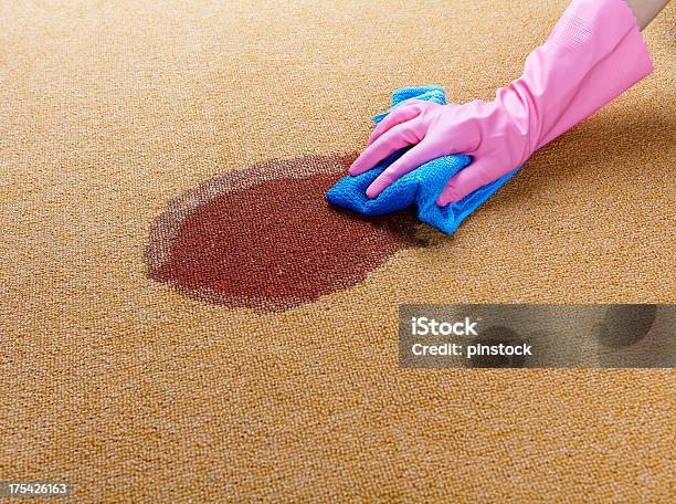 Gloved Hand Cleaning A Wet Spot On Floor Stock Photo - Download Image Now - Carpet - Decor, Cleaning, Stained