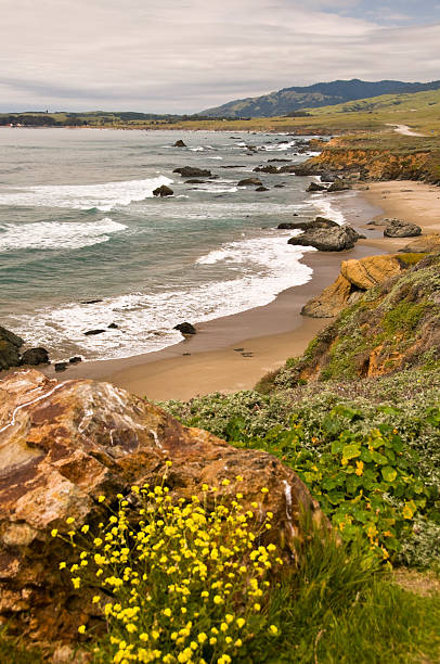 istock California Coast Near San Simeon 175426456