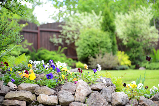 flowers on a stone in the garden