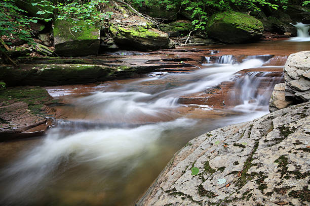 istock Kitchen Creek at Ricketts Glen 175426913
