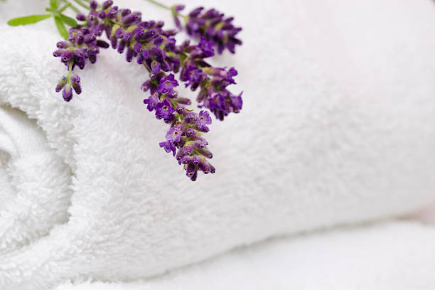 istock Fresh Lavender on Rolled White Towels with Copy Space Horizontal 175427249